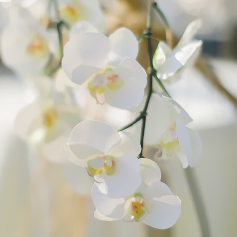 WestPalmBeachWeddingPhotographer_11