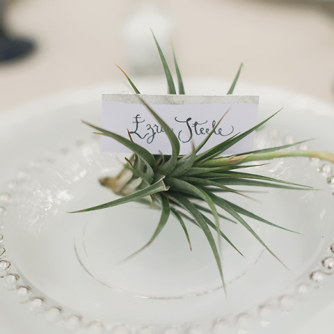 WestPalmBeachWeddingPhotographer_06