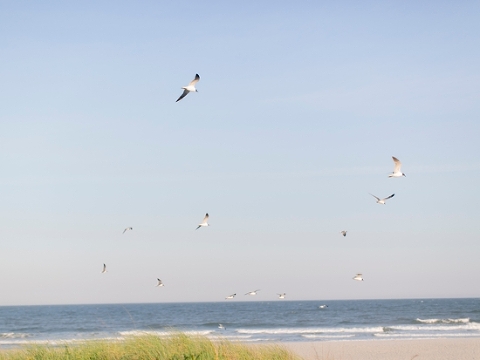 Palm_Beach_Wedding_Photographer_0021