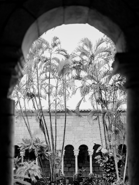 Palm_Beach_Wedding_Photographer_0477